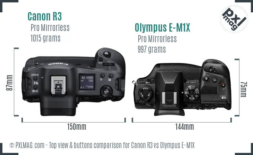 Canon R3 vs Olympus E-M1X top view buttons comparison