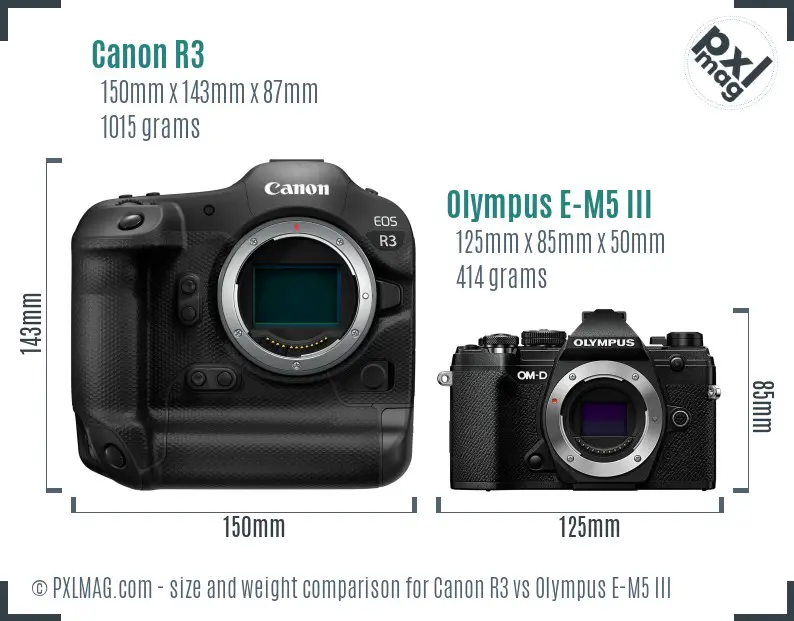 Canon R3 vs Olympus E-M5 III size comparison