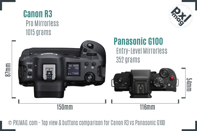 Canon R3 vs Panasonic G100 top view buttons comparison