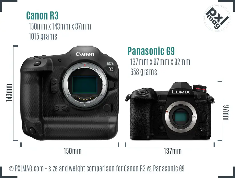 Canon R3 vs Panasonic G9 size comparison