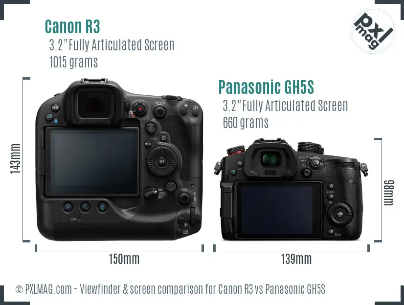 Canon R3 vs Panasonic GH5S Screen and Viewfinder comparison