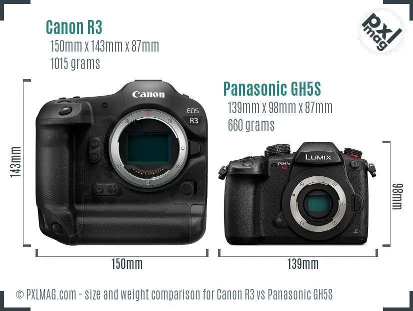 Canon R3 vs Panasonic GH5S size comparison