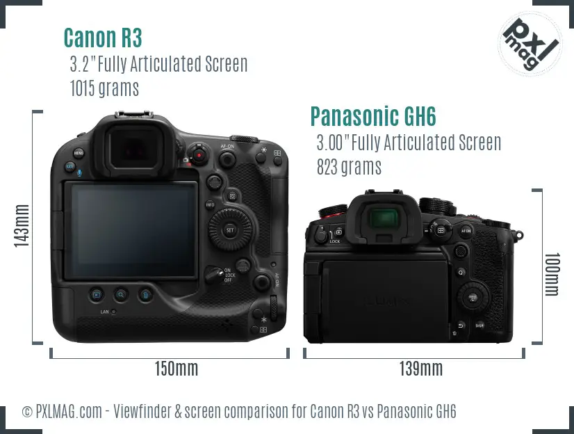 Canon R3 vs Panasonic GH6 Screen and Viewfinder comparison