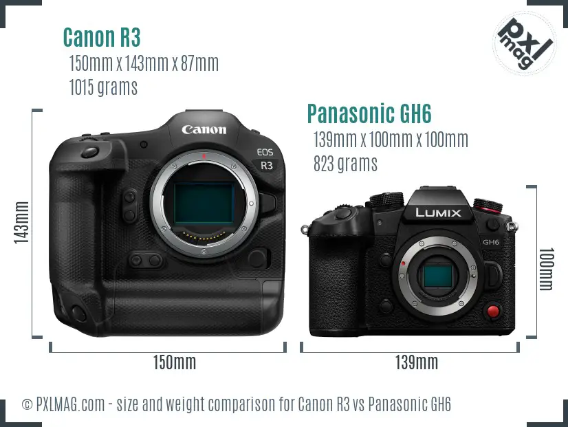 Canon R3 vs Panasonic GH6 size comparison