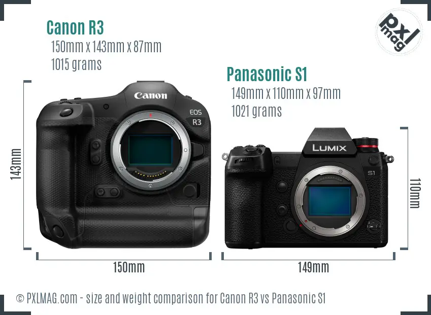 Canon R3 vs Panasonic S1 size comparison