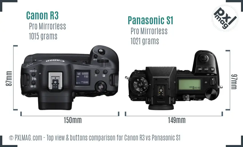 Canon R3 vs Panasonic S1 top view buttons comparison