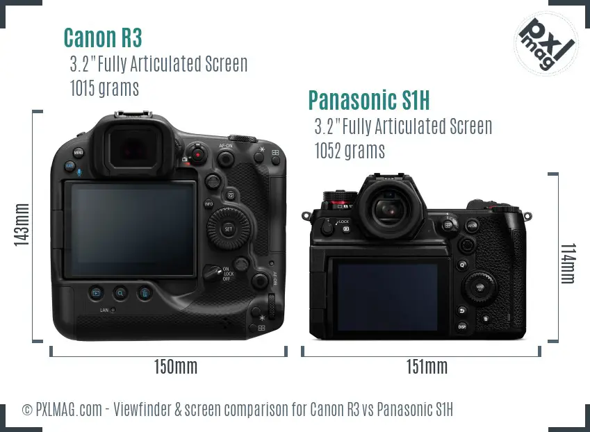 Canon R3 vs Panasonic S1H Screen and Viewfinder comparison