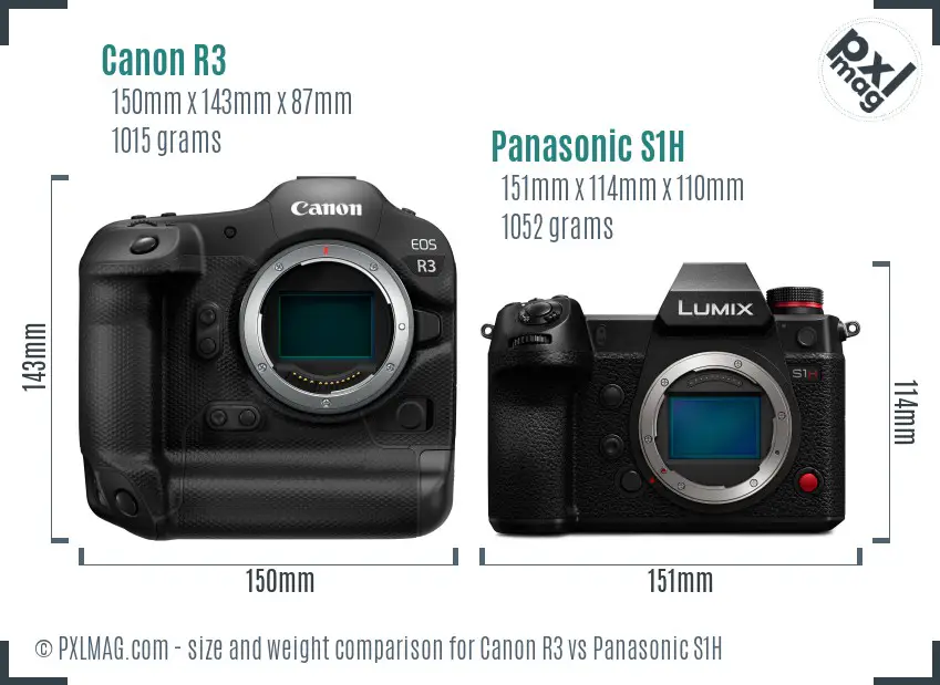 Canon R3 vs Panasonic S1H size comparison