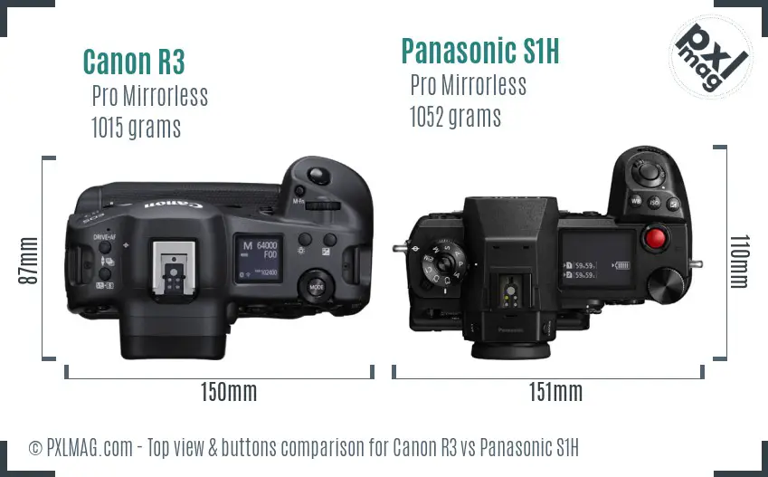 Canon R3 vs Panasonic S1H top view buttons comparison
