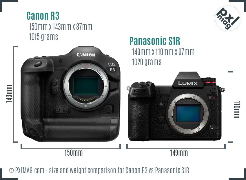 Canon R3 vs Panasonic S1R size comparison