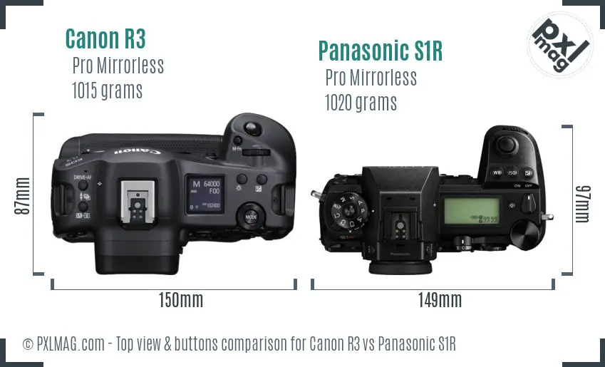Canon R3 vs Panasonic S1R top view buttons comparison