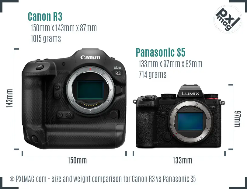 Canon R3 vs Panasonic S5 size comparison