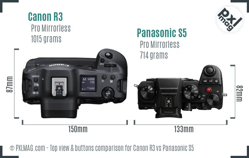 Canon R3 vs Panasonic S5 top view buttons comparison