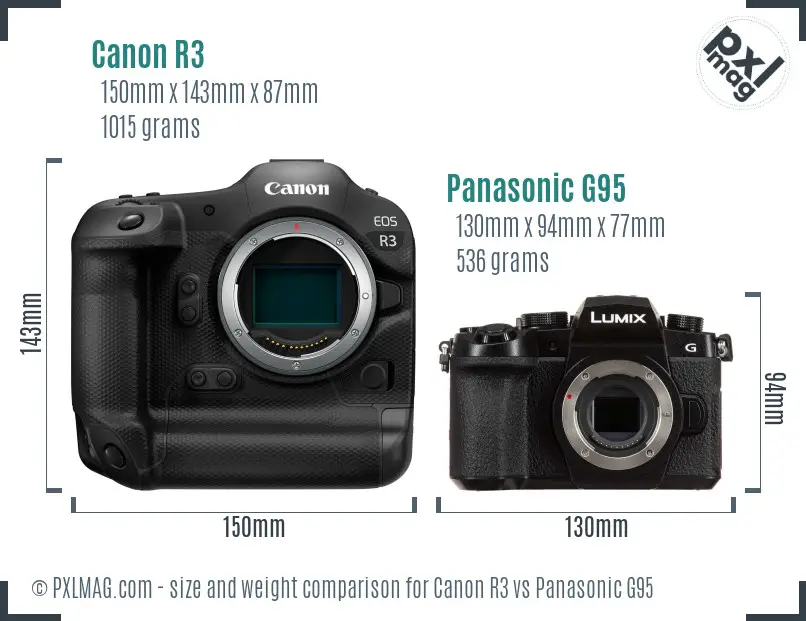 Canon R3 vs Panasonic G95 size comparison