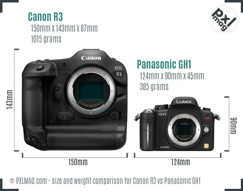 Canon R3 vs Panasonic GH1 size comparison