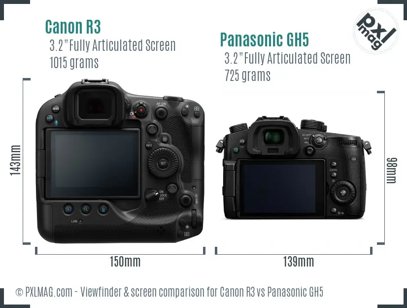 Canon R3 vs Panasonic GH5 Screen and Viewfinder comparison