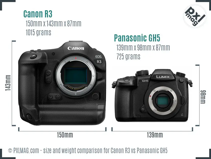 Canon R3 vs Panasonic GH5 size comparison