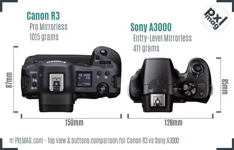 Canon R3 vs Sony A3000 top view buttons comparison