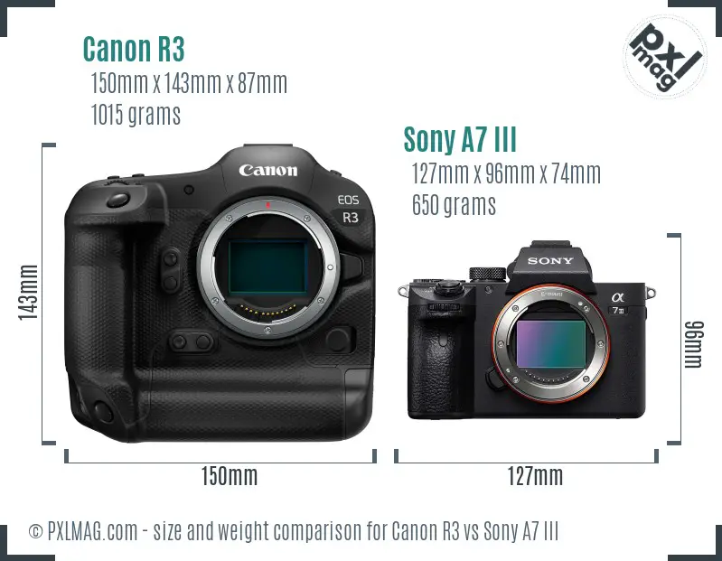Canon R3 vs Sony A7 III size comparison