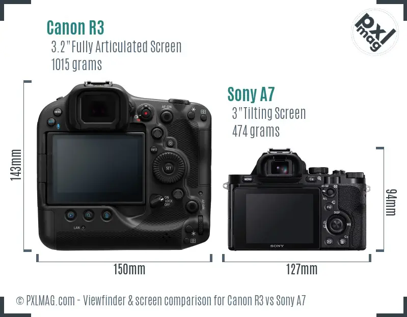 Canon R3 vs Sony A7 Screen and Viewfinder comparison