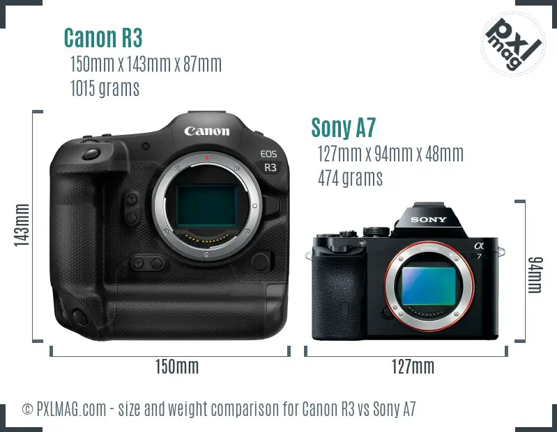 Canon R3 vs Sony A7 size comparison