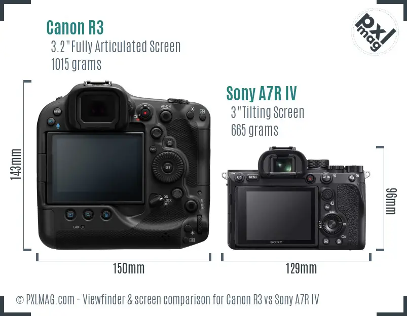 Canon R3 vs Sony A7R IV Screen and Viewfinder comparison