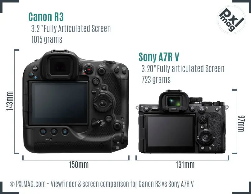 Canon R3 vs Sony A7R V Screen and Viewfinder comparison