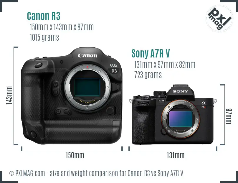 Canon R3 vs Sony A7R V size comparison