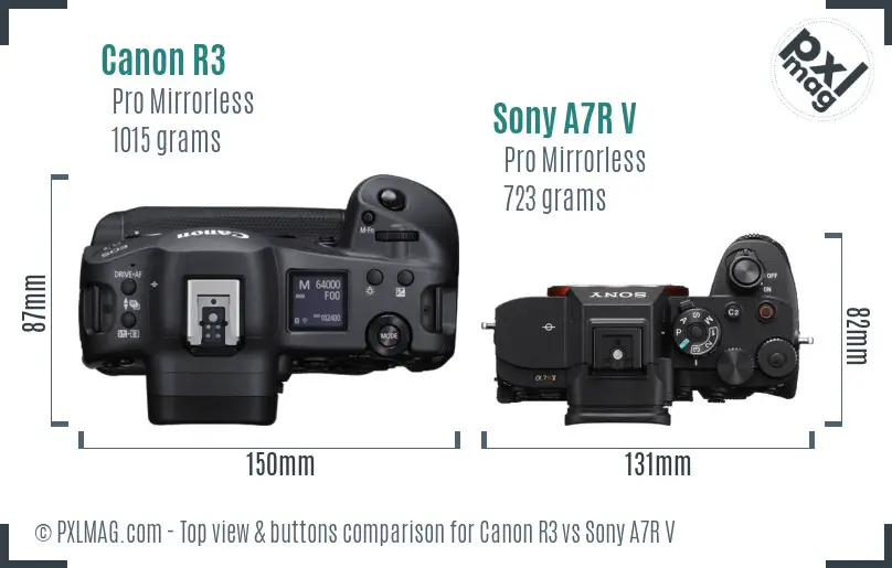 Canon R3 vs Sony A7R V top view buttons comparison