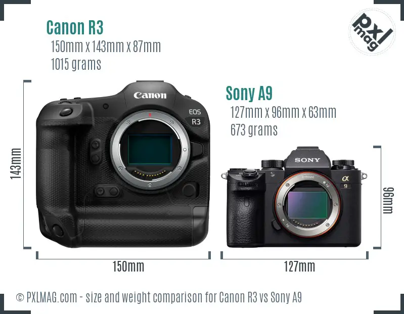 Canon R3 vs Sony A9 size comparison