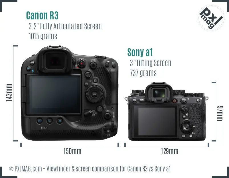 Canon R3 vs Sony a1 Screen and Viewfinder comparison
