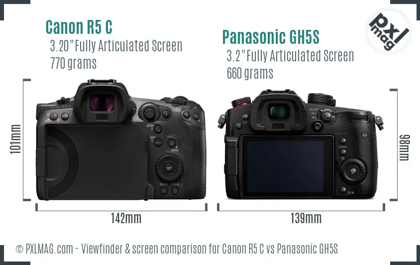 Canon R5 C vs Panasonic GH5S Screen and Viewfinder comparison