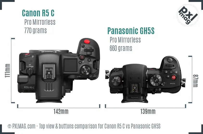 Canon R5 C vs Panasonic GH5S top view buttons comparison