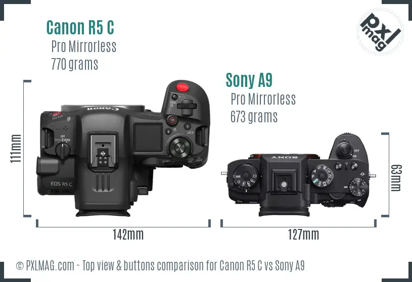 Canon R5 C vs Sony A9 top view buttons comparison