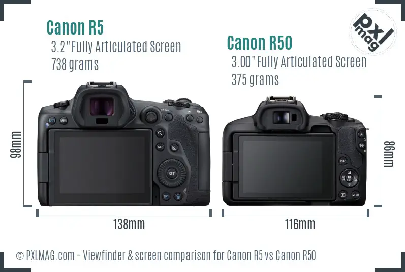 Canon R5 vs Canon R50 Screen and Viewfinder comparison