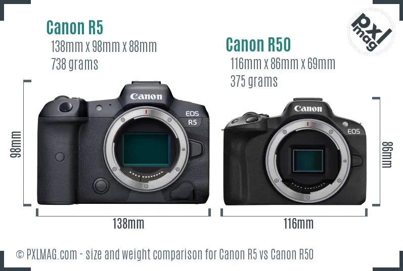 Canon R5 vs Canon R50 size comparison