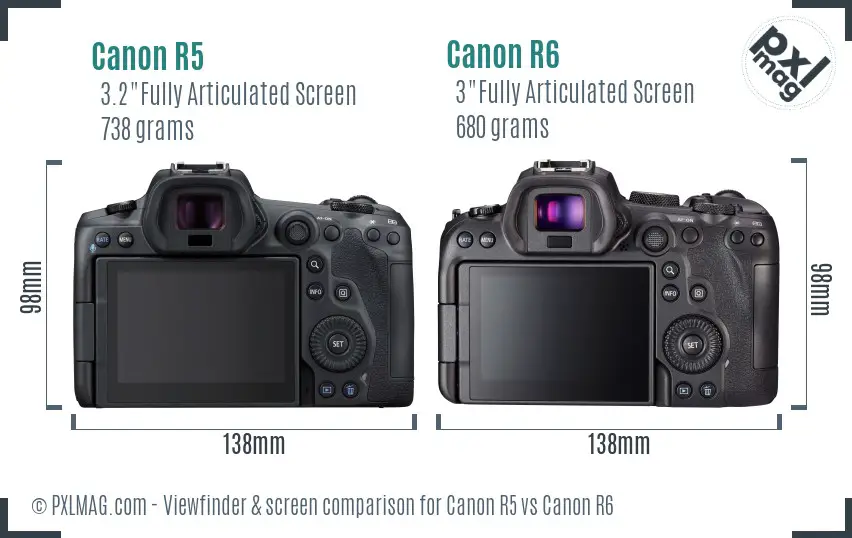 Canon R5 vs Canon R6 Screen and Viewfinder comparison