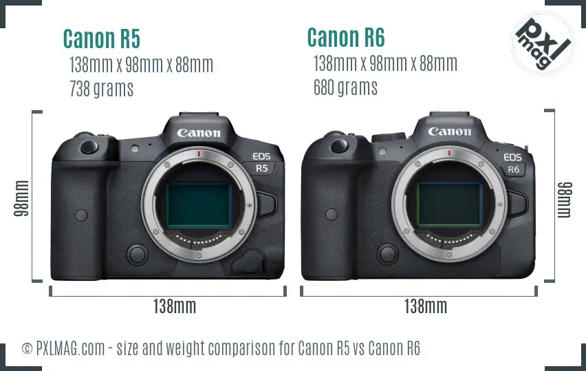 Canon R5 vs Canon R6 size comparison