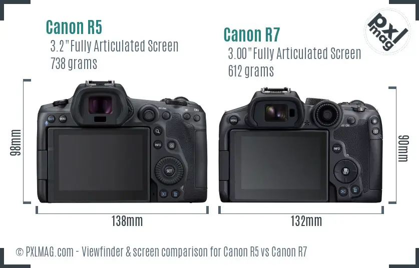 Canon R5 vs Canon R7 Screen and Viewfinder comparison