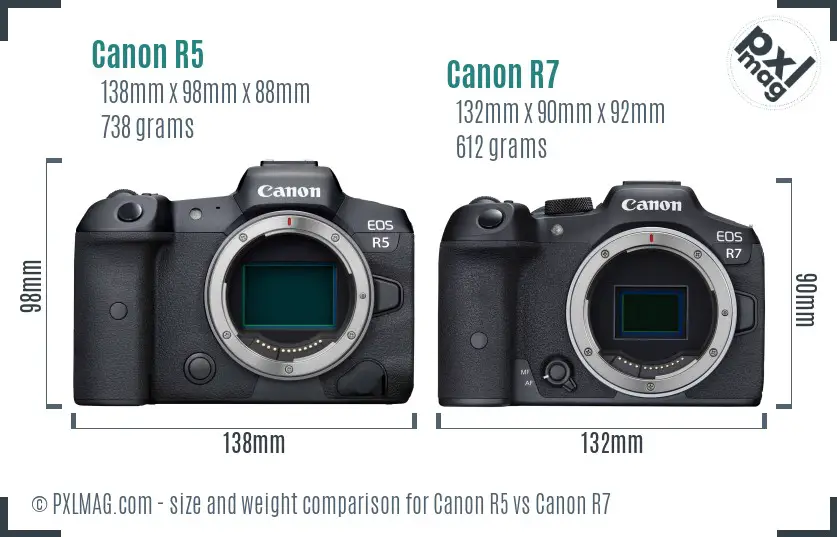 Canon R5 vs Canon R7 size comparison