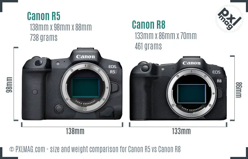 Canon R5 vs Canon R8 size comparison