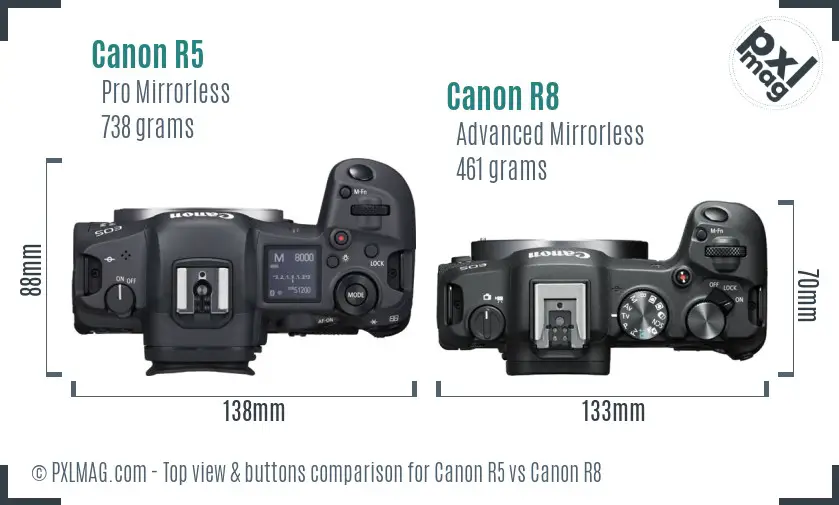 Canon R5 vs Canon R8 top view buttons comparison