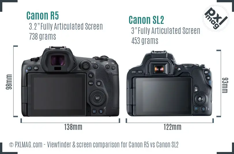 Canon R5 vs Canon SL2 Screen and Viewfinder comparison