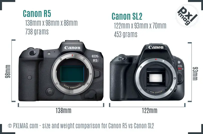 Canon R5 vs Canon SL2 size comparison