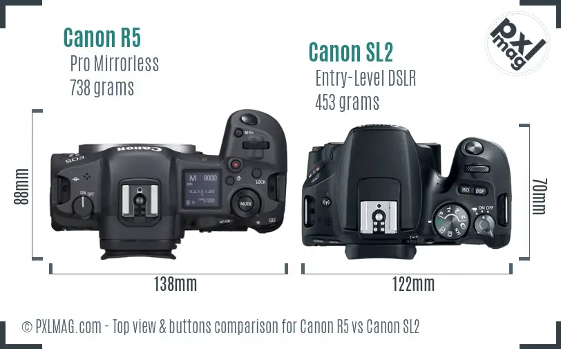 Canon R5 vs Canon SL2 top view buttons comparison