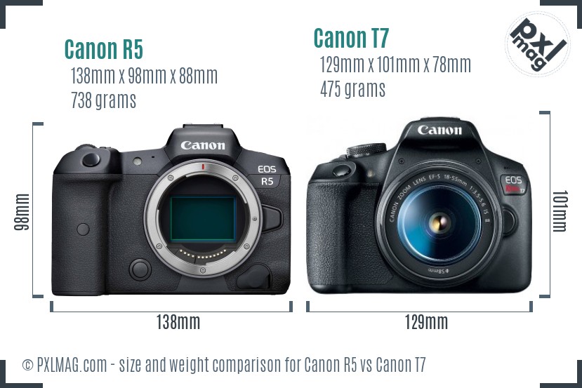 Canon R5 vs Canon T7 size comparison Canon R5 vs Canon T7 size comparison