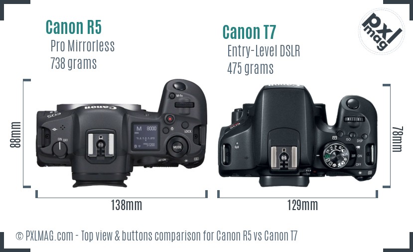 Canon R5 vs Canon T7 top view buttons comparison