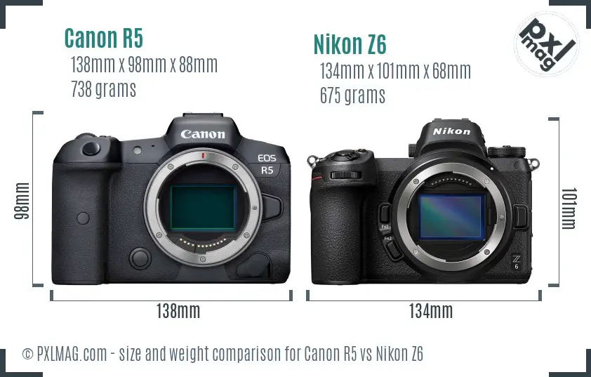 Canon R5 vs Nikon Z6 size comparison