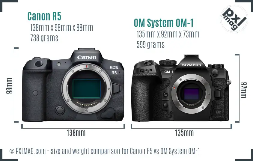 Canon R5 vs OM System OM-1 size comparison