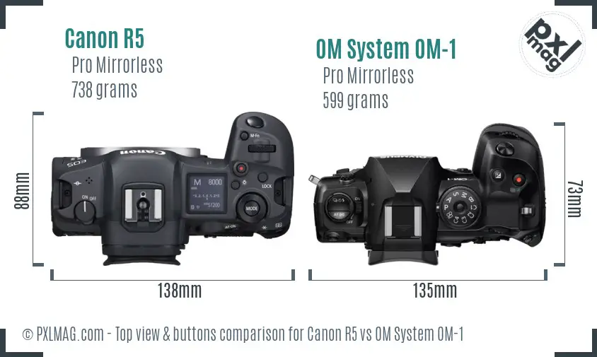 Canon R5 vs OM System OM-1 top view buttons comparison